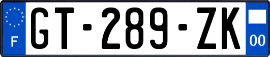 GT-289-ZK