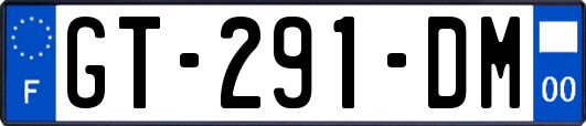 GT-291-DM