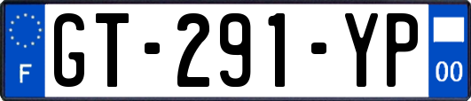 GT-291-YP