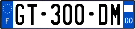 GT-300-DM