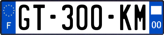 GT-300-KM