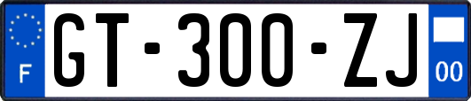 GT-300-ZJ