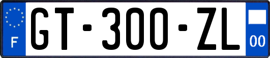 GT-300-ZL