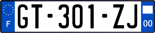 GT-301-ZJ