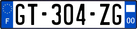 GT-304-ZG