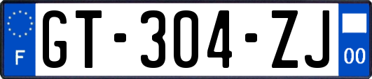 GT-304-ZJ