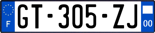 GT-305-ZJ
