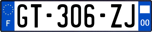 GT-306-ZJ