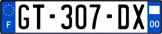 GT-307-DX