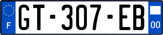 GT-307-EB