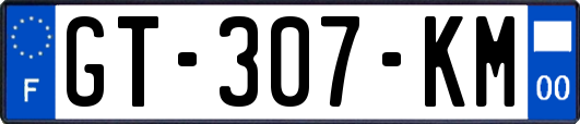 GT-307-KM