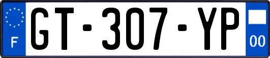 GT-307-YP