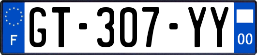 GT-307-YY
