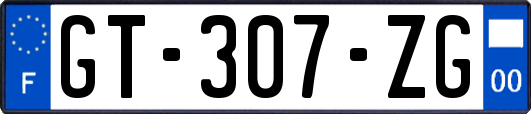 GT-307-ZG