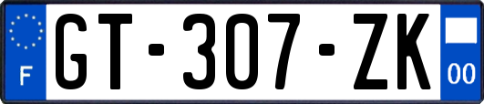 GT-307-ZK