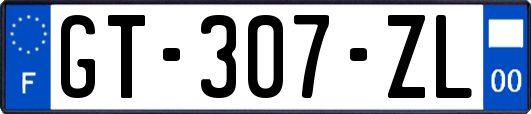 GT-307-ZL