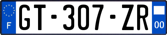 GT-307-ZR