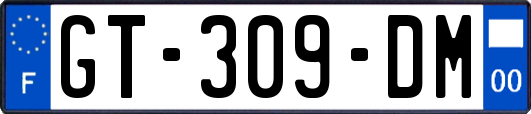 GT-309-DM