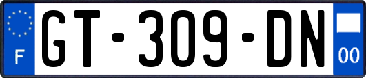 GT-309-DN
