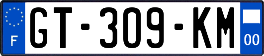 GT-309-KM