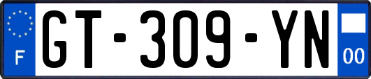 GT-309-YN