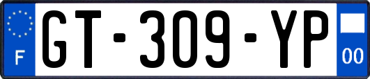 GT-309-YP