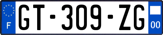 GT-309-ZG