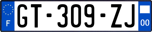 GT-309-ZJ