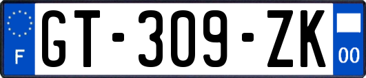 GT-309-ZK