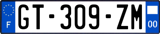 GT-309-ZM