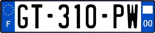 GT-310-PW