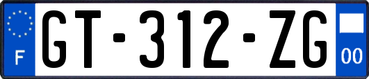 GT-312-ZG