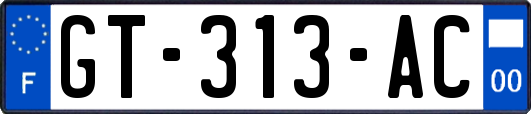 GT-313-AC