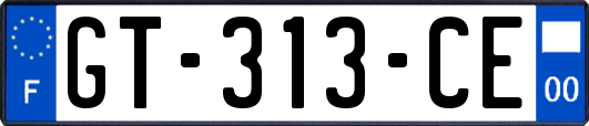 GT-313-CE