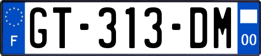 GT-313-DM