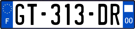 GT-313-DR