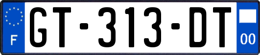 GT-313-DT