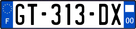 GT-313-DX