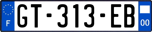 GT-313-EB