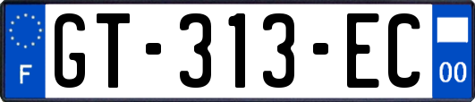 GT-313-EC
