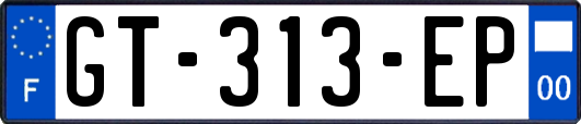 GT-313-EP