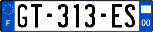 GT-313-ES