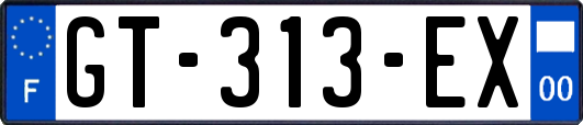 GT-313-EX