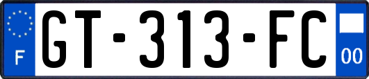 GT-313-FC