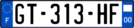 GT-313-HF