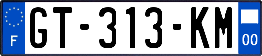 GT-313-KM