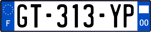 GT-313-YP