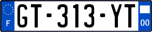 GT-313-YT
