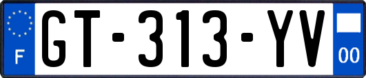 GT-313-YV