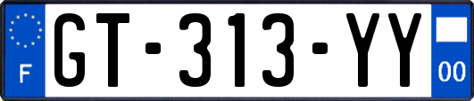GT-313-YY